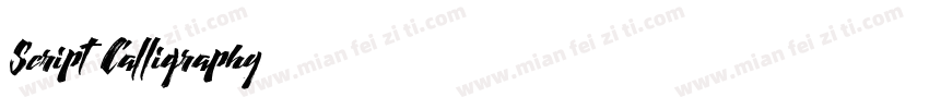 Script Calligraphy字体转换